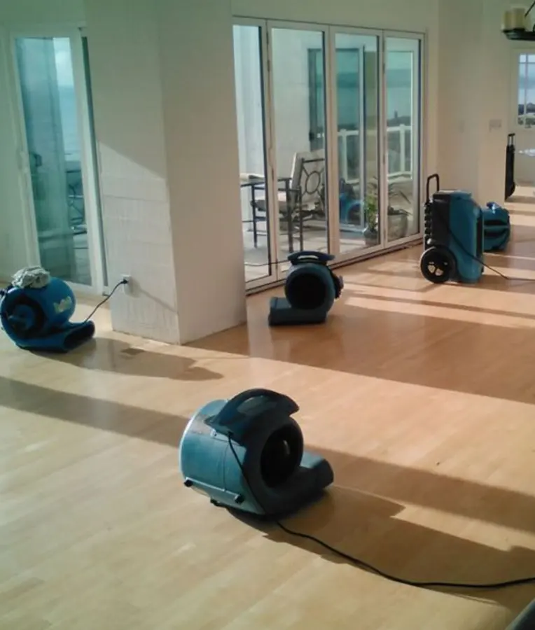 Blue air movers drying a light wood floor beside glass patio doors, structural drying in a coastal home
