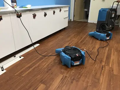 Kitchen drying setup with air movers and a dehumidifier on a wood floor, as used on Carlsbad jobs