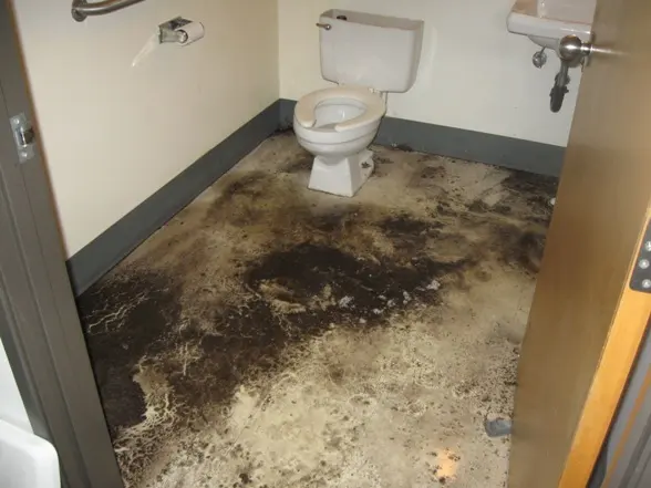 Bathroom floor stained dark around the toilet after a sewage backup, the start of sewage backup cleanup in Encinitas, CA